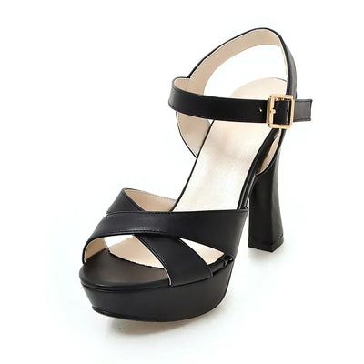 Women’s Heels 219
