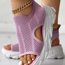  Pembe