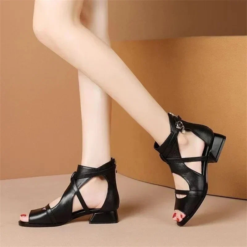 Women’s Heels 260