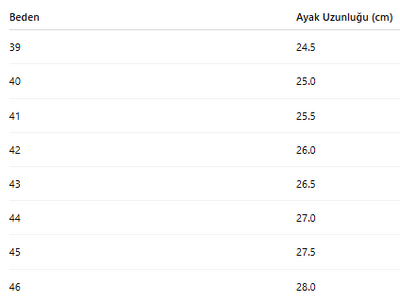 ERKEK AYAKKABI 109