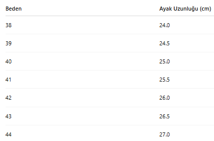 ERKEK AYAKKABI 246