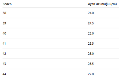 ERKEK AYAKKABI 160