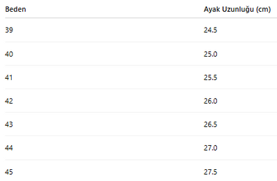 ERKEK AYAKKABI 118