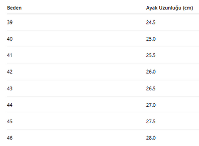 ERKEK AYAKKABI 107