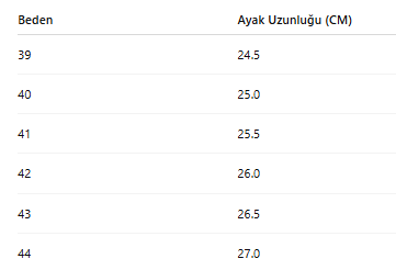ERKEK AYAKKABI 410