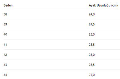 ERKEK AYAKKABI 437