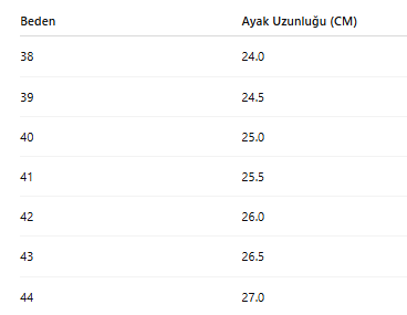ERKEK SPOR AYAKKABI 365