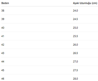 ERKEK AYAKKABI 416