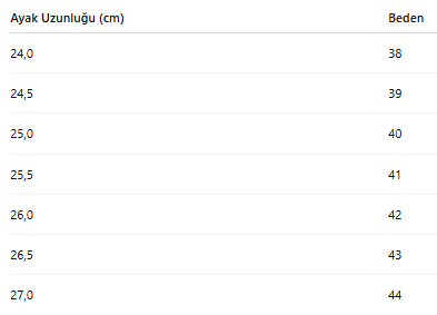 ERKEK AYAKKABI 243