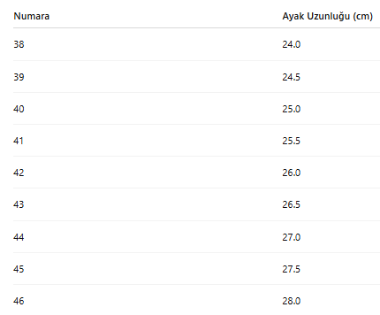ERKEK AYAKKABI 411