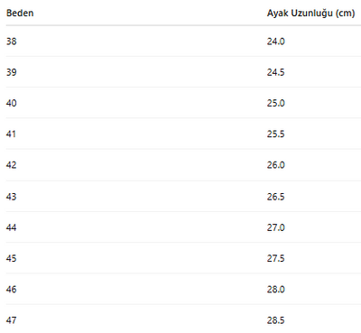 ERKEK AYAKKABI 185