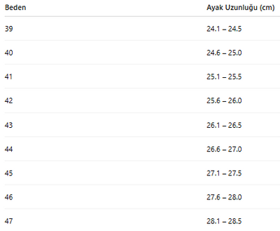 ERKEK AYAKKABI 223