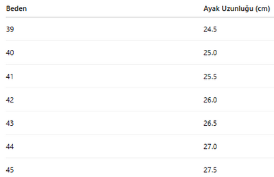 ERKEK AYAKKABI 193