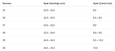 KADIN SPOR AYAKKABI 158