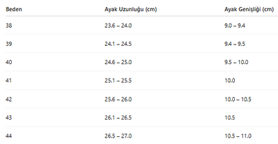 ERKEK AYAKKABI 214