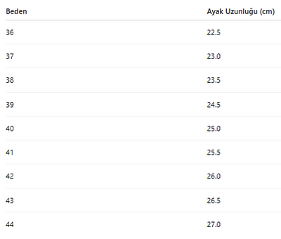 ERKEK AYAKKABI 261