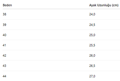 ERKEK AYAKKABI 447