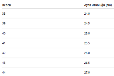 ERKEK AYAKKABI 195