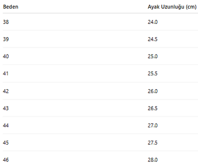ERKEK AYAKKABI 240