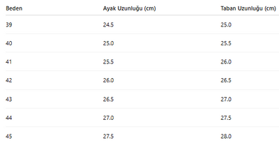 ERKEK AYAKKABI 213