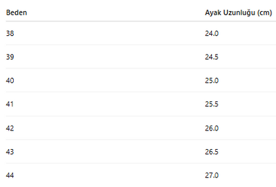 ERKEK AYAKKABI 183