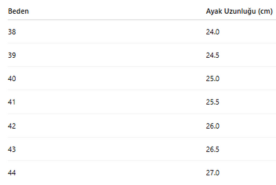ERKEK AYAKKABI 201