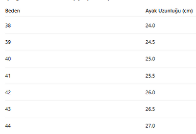 ERKEK AYAKKABI 152