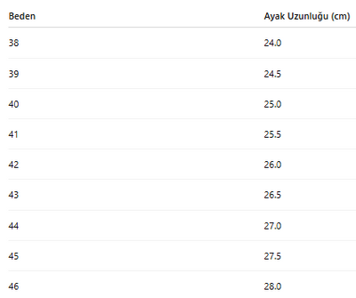 ERKEK AYAKKABI 216