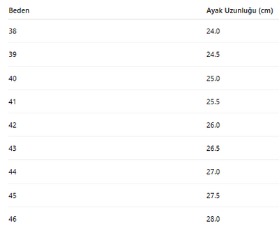 ERKEK AYAKKABI 176