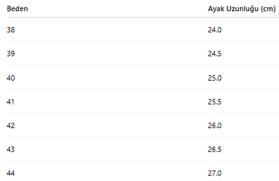 ERKEK AYAKKABI 184