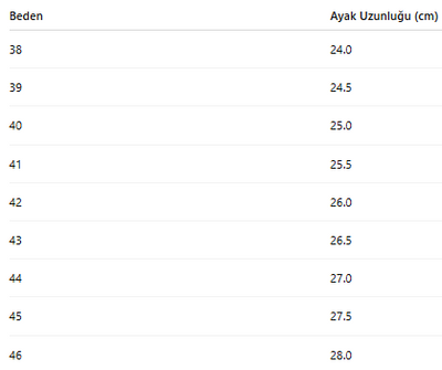 ERKEK AYAKKABI 126