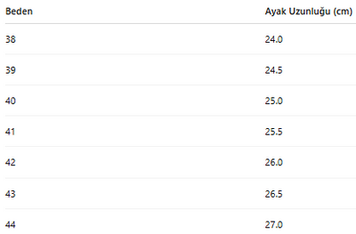 ERKEK AYAKKABI 217