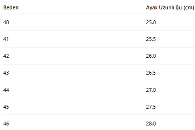 ERKEK AYAKKABI 196