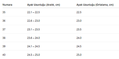 KADIN SPOR AYAKKABI 133