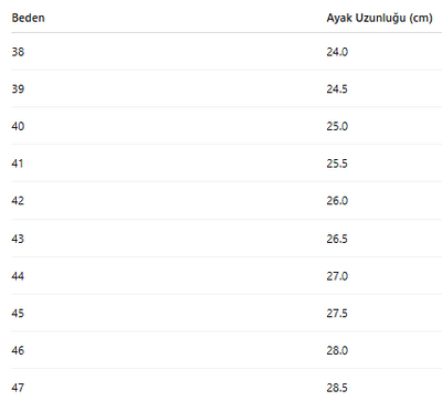 ERKEK AYAKKABI 210