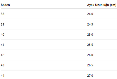 ERKEK AYAKKABI 277