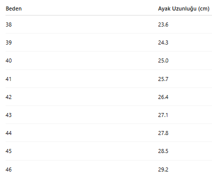 ERKEK AYAKKABI 181
