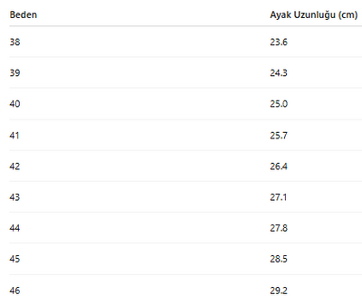 ERKEK AYAKKABI 181