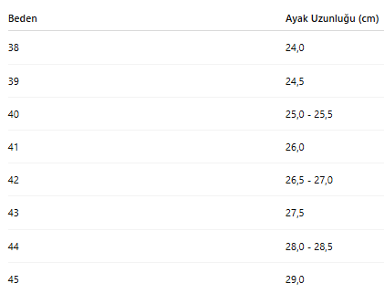 ERKEK AYAKKABI 442