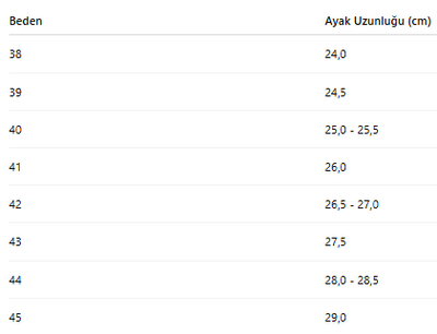ERKEK AYAKKABI 442