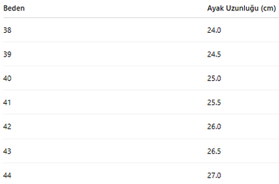 ERKEK AYAKKABI 429