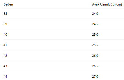 ERKEK AYAKKABI 102