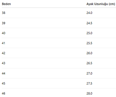 ERKEK AYAKKABI 407